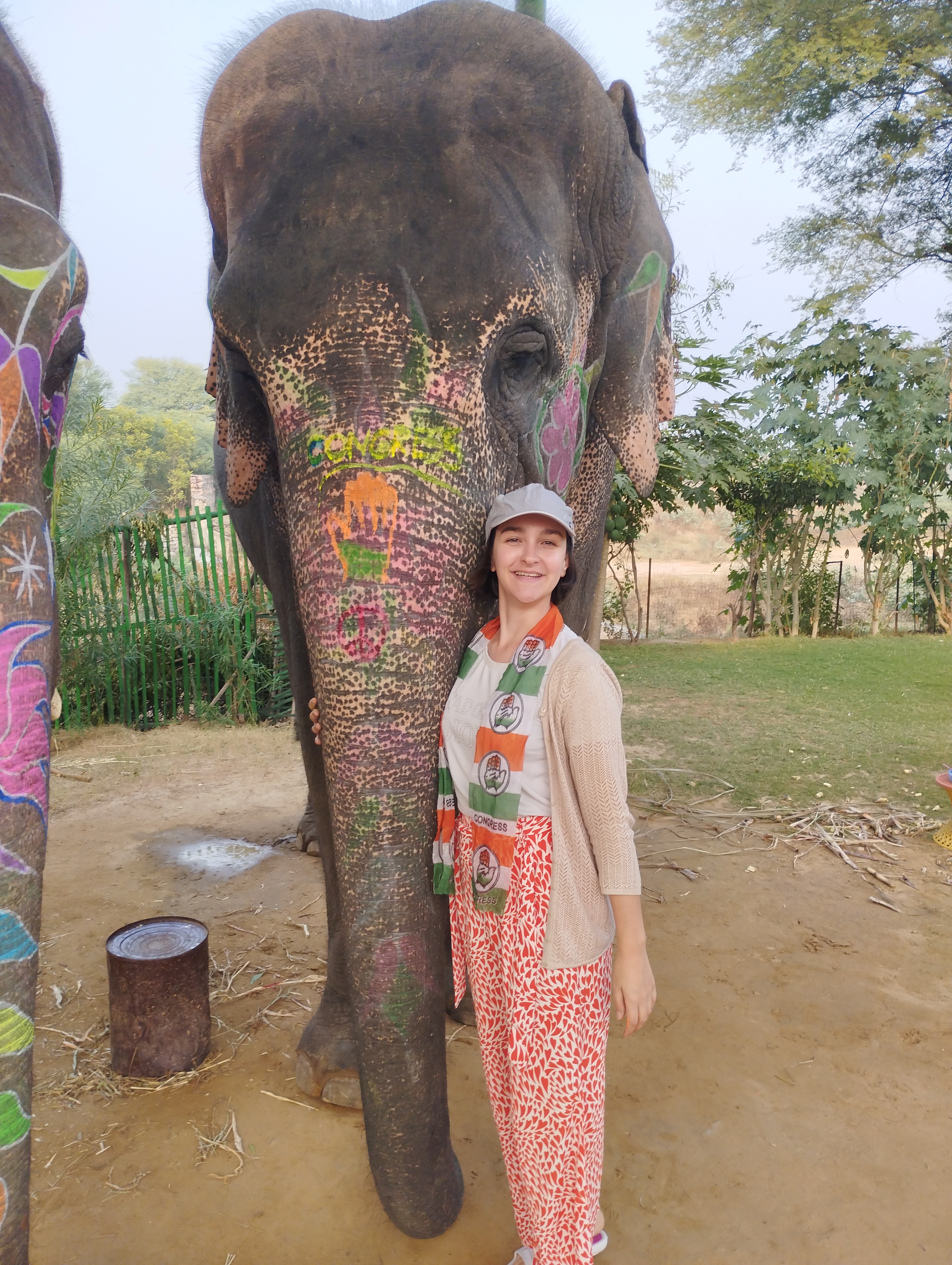 Family enjoying time with elephants