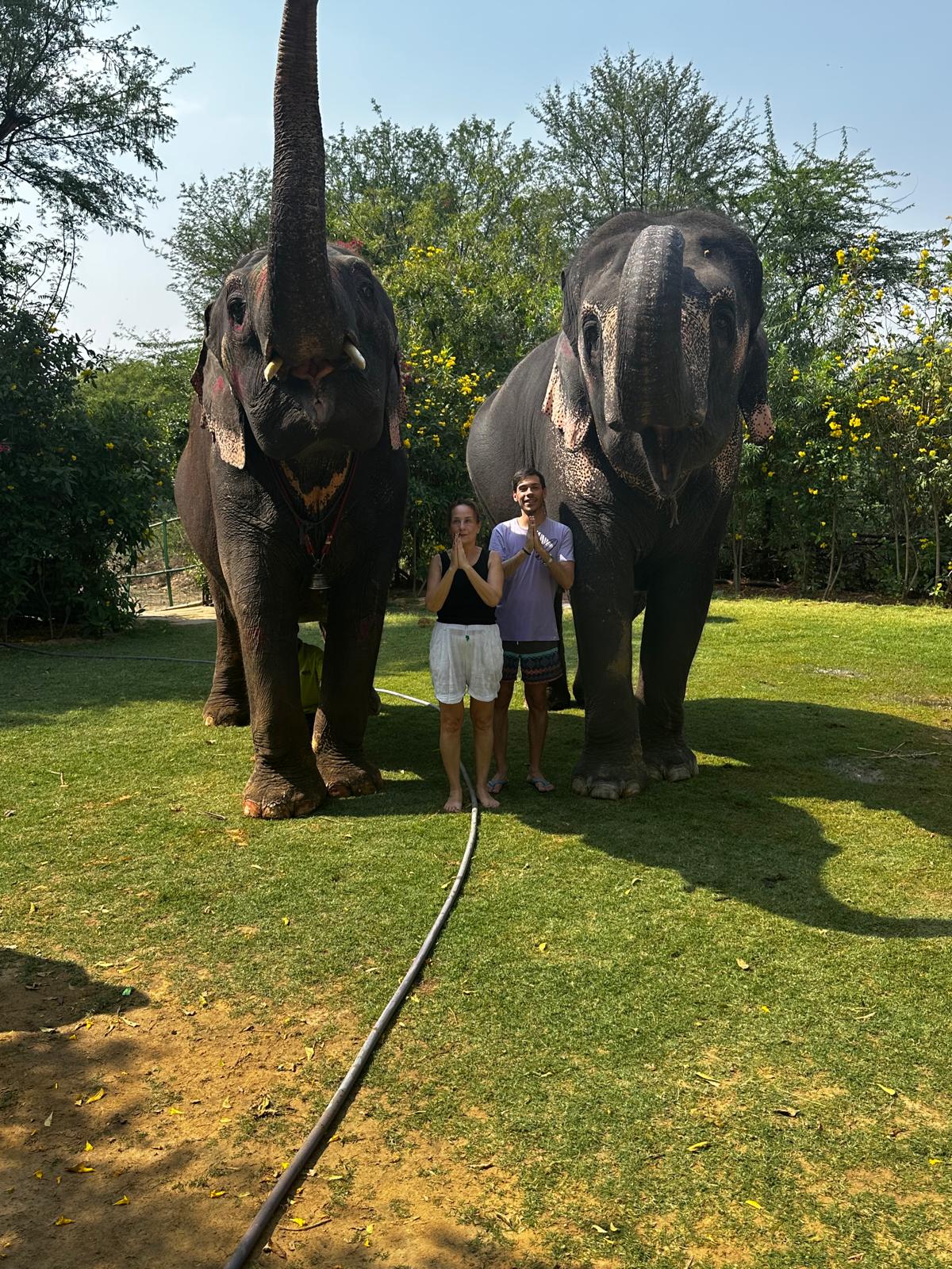 Tourist amazed by elephant