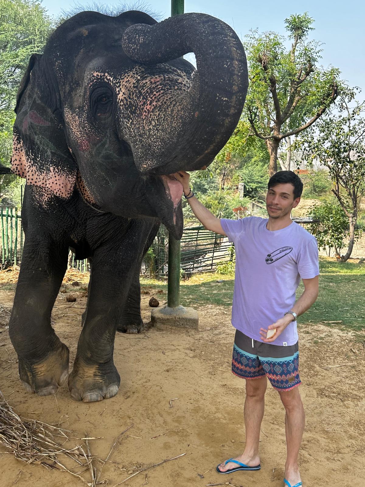 Tourist taking selfie with elephant